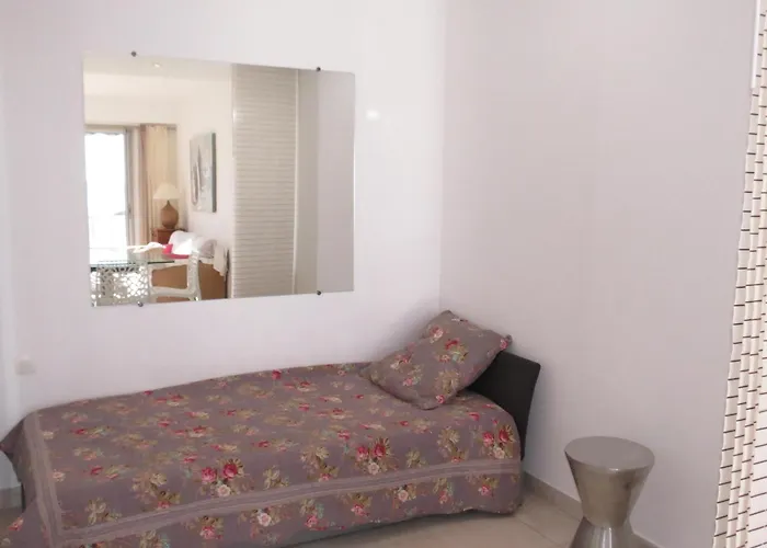 Apartment 2 Pieces Climatise Face Avec Parking A - Fr-1-780-48 *